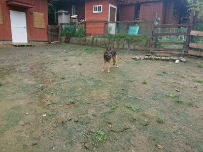 f:id:roukenhome-ann:20190722185701j:plain