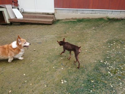f:id:roukenhome-ann:20190722185721j:plain