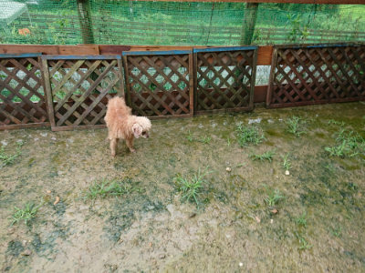 f:id:roukenhome-ann:20190722185726j:plain