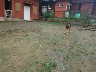 f:id:roukenhome-ann:20190722185732j:plain