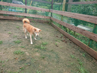 f:id:roukenhome-ann:20190722185737j:plain