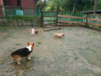 f:id:roukenhome-ann:20190722185748j:plain