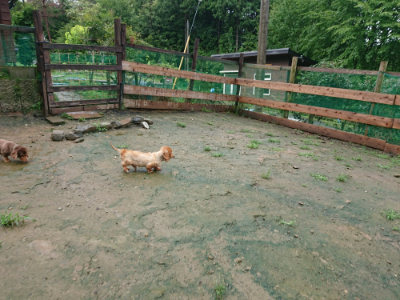 f:id:roukenhome-ann:20190722185753j:plain