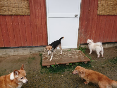 f:id:roukenhome-ann:20190722191052j:plain