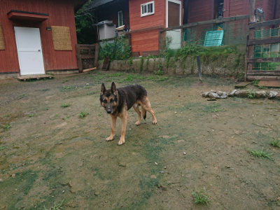 f:id:roukenhome-ann:20190722191118j:plain