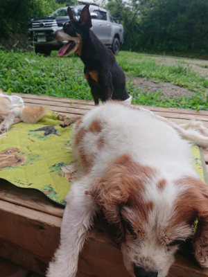f:id:roukenhome-ann:20190722191123j:plain