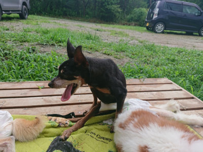 f:id:roukenhome-ann:20190722191127j:plain