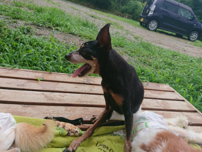 f:id:roukenhome-ann:20190722191220j:plain