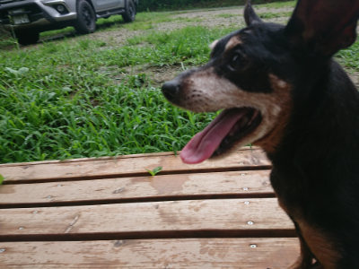 f:id:roukenhome-ann:20190722191310j:plain