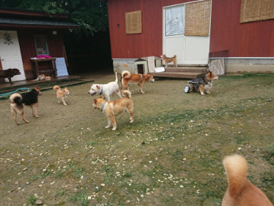 f:id:roukenhome-ann:20190722191325j:plain