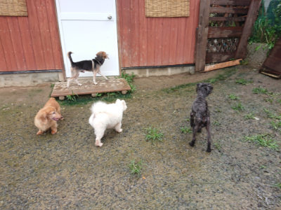 f:id:roukenhome-ann:20190722191343j:plain