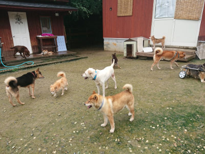 f:id:roukenhome-ann:20190722191352j:plain
