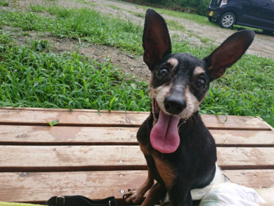 f:id:roukenhome-ann:20190722191400j:plain