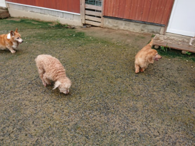 f:id:roukenhome-ann:20190722191413j:plain