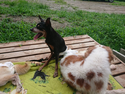 f:id:roukenhome-ann:20190722191519j:plain