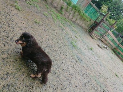 f:id:roukenhome-ann:20190722191530j:plain