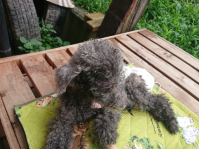 f:id:roukenhome-ann:20190722191552j:plain