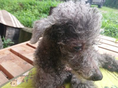 f:id:roukenhome-ann:20190722191622j:plain