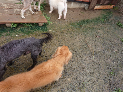 f:id:roukenhome-ann:20190722191628j:plain
