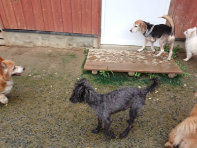f:id:roukenhome-ann:20190722191635j:plain