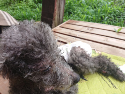 f:id:roukenhome-ann:20190722191650j:plain