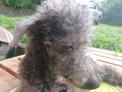 f:id:roukenhome-ann:20190722191803j:plain