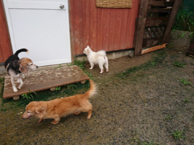 f:id:roukenhome-ann:20190722191846j:plain