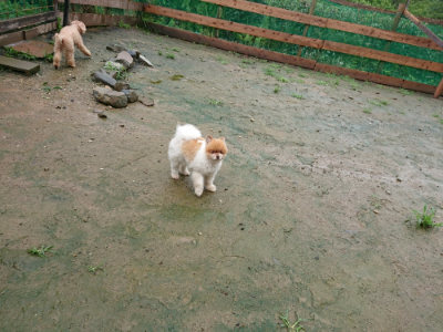 f:id:roukenhome-ann:20190722191852j:plain