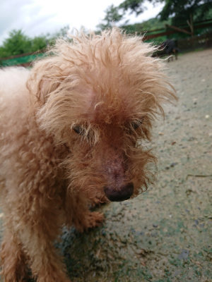 f:id:roukenhome-ann:20190722191903j:plain