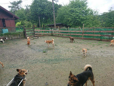 f:id:roukenhome-ann:20190722192002j:plain