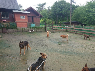 f:id:roukenhome-ann:20190722192023j:plain