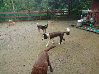 f:id:roukenhome-ann:20190722192049j:plain