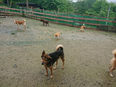 f:id:roukenhome-ann:20190722192054j:plain