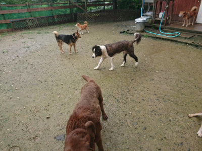f:id:roukenhome-ann:20190722192107j:plain