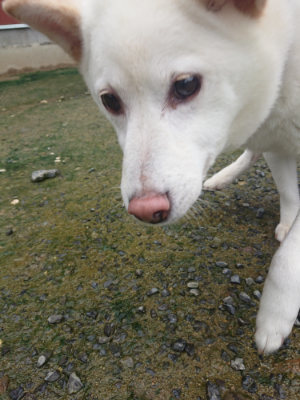 f:id:roukenhome-ann:20190722192111j:plain