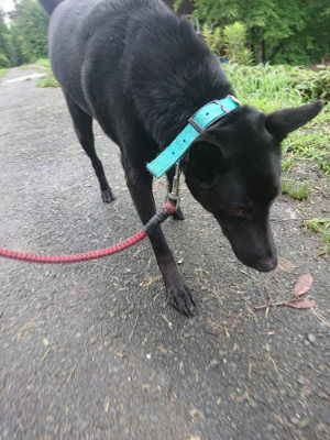 f:id:roukenhome-ann:20190722192144j:plain
