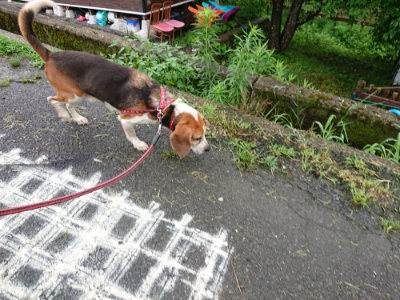 f:id:roukenhome-ann:20190722192149j:plain