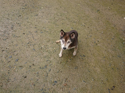 f:id:roukenhome-ann:20190722192244j:plain