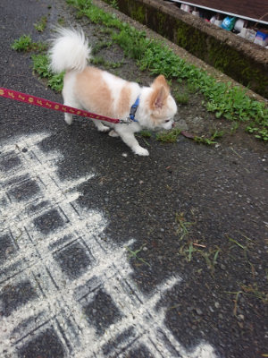f:id:roukenhome-ann:20190722192249j:plain