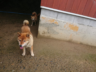 f:id:roukenhome-ann:20190722192335j:plain