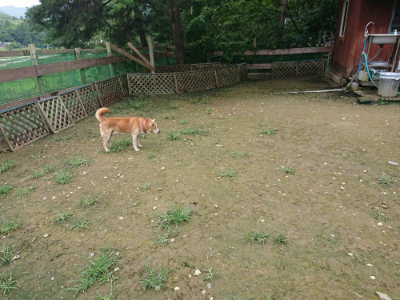 f:id:roukenhome-ann:20190723115732j:plain