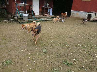 f:id:roukenhome-ann:20190723115750j:plain