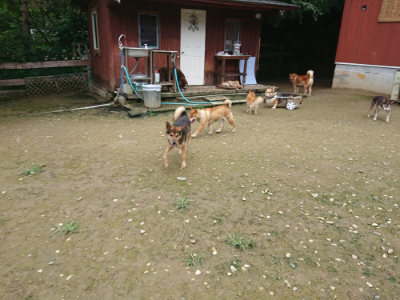 f:id:roukenhome-ann:20190723115801j:plain