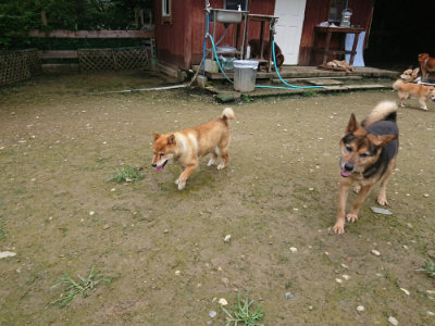f:id:roukenhome-ann:20190723115808j:plain