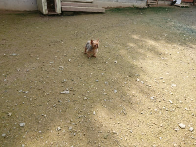 f:id:roukenhome-ann:20190723115850j:plain