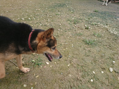 f:id:roukenhome-ann:20190723115918j:plain