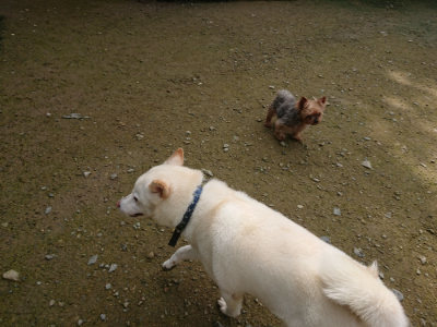 f:id:roukenhome-ann:20190723115927j:plain