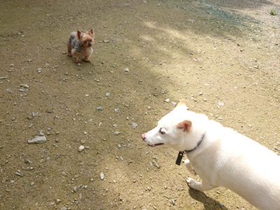 f:id:roukenhome-ann:20190723115942j:plain
