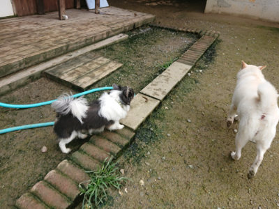 f:id:roukenhome-ann:20190723115956j:plain