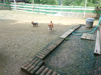 f:id:roukenhome-ann:20190723120018j:plain